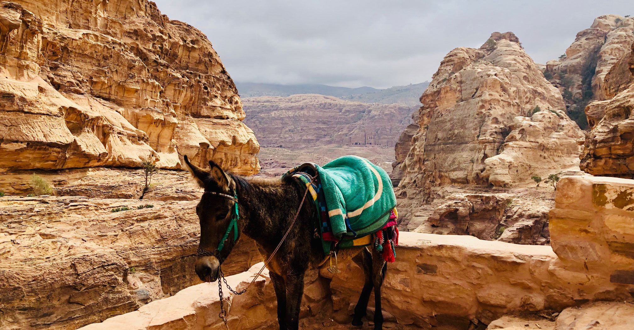 Vinterferie i Petra, Jordan