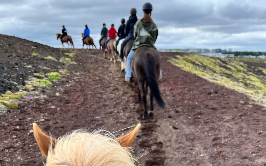 To timers ridning på islandske heste i fint landskab ca 40 minutters kørsel fra centrum.